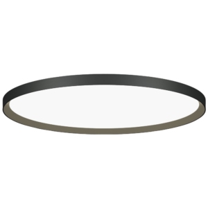 Moltoluce laevalgusti Bina