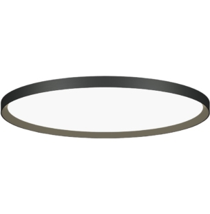 Moltoluce laevalgusti Bina