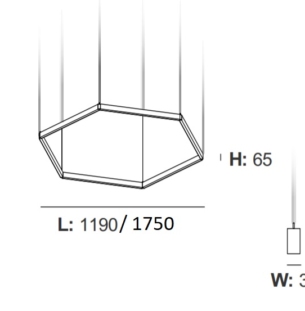 Intra Hexagon S/ Mesh