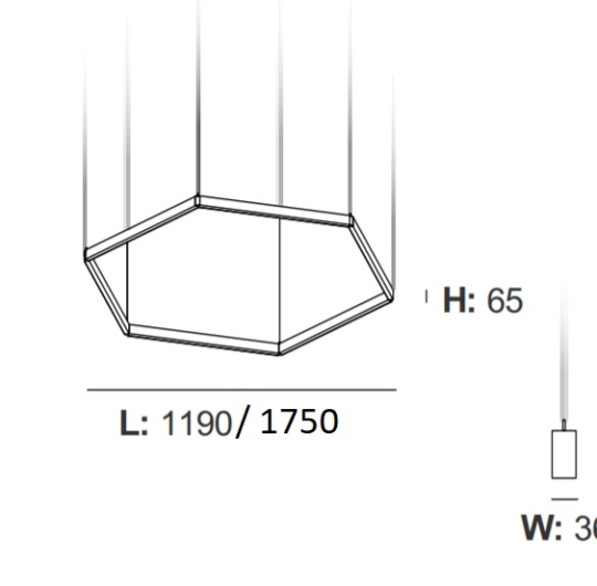 Intra Hexagon S/ Mesh