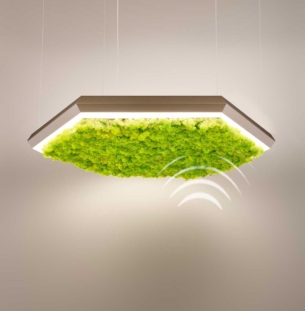 olev EXAGON_SILENCE_GREEN_onde_suono