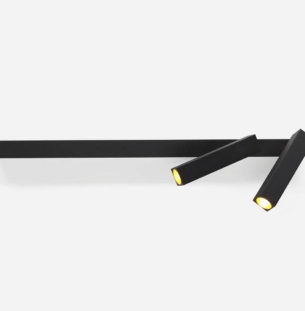 Hektor seinavalgusti Liz