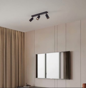 novaluce laevalgusti reig