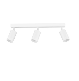 novaluce laevalgusti reig