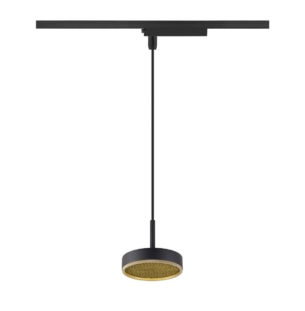 SLV_1009133_siinivalgusti