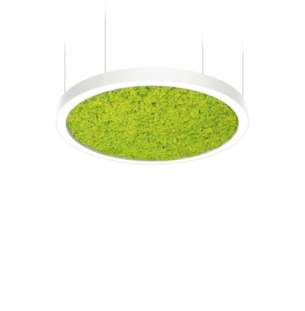 Intra lighting acousto rippvalgusti outlet