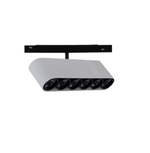 BP16-18W9S3DS leds siinivalgusti twin