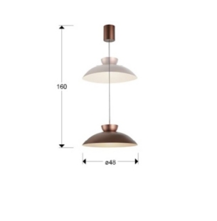 schuller rippvalgusti ion